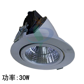 LED trunk lamp 30W